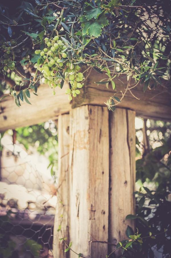 Il Vicoletto Di Bibi - B&B Staffolo エクステリア 写真